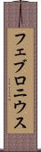 フェブロニウス Scroll
