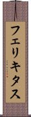 フェリキタス Scroll