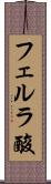 フェルラ酸 Scroll