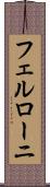 フェルローニ Scroll