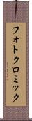 フォトクロミック Scroll