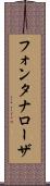 フォンタナローザ Scroll
