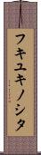 フキユキノシタ Scroll