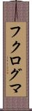 フクログマ Scroll