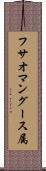 フサオマングース属 Scroll