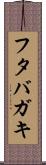 フタバガキ Scroll