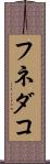 フネダコ Scroll
