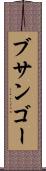 ブサンゴー Scroll