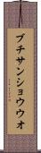 ブチサンショウウオ Scroll
