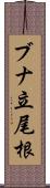 ブナ立尾根 Scroll