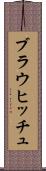 ブラウヒッチュ Scroll