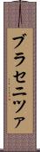 ブラセニツァ Scroll