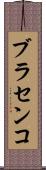 ブラセンコ Scroll