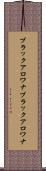 ブラックアロワナ Scroll