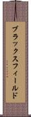 ブラックスフィールド Scroll
