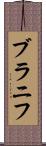 ブラニフ Scroll
