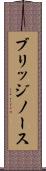 ブリッジノース Scroll