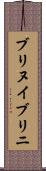 ブリヌイ Scroll