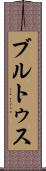 ブルトゥス Scroll