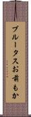 ブルータスお前もか Scroll