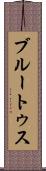 ブルートゥス Scroll