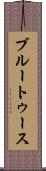 ブルートゥース Scroll