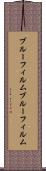 ブルーフィルム Scroll
