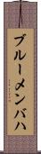 ブルーメンバハ Scroll
