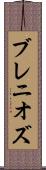 ブレニオズ Scroll