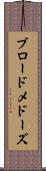 ブロードメドーズ Scroll