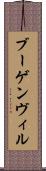 ブーゲンヴィル Scroll