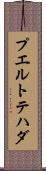 プエルトテハダ Scroll
