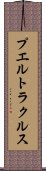 プエルトラクルス Scroll