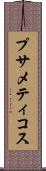 プサメティコス Scroll