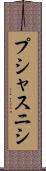 プシャスニシ Scroll