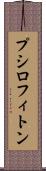 プシロフィトン Scroll