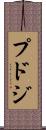 プドジ Scroll