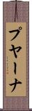 プヤーナ Scroll