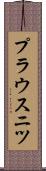プラウスニツ Scroll