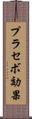 プラセボ効果 Scroll
