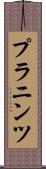 プラニンツ Scroll
