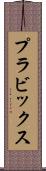 プラビックス Scroll