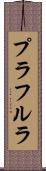 プラフルラ Scroll