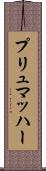 プリュマッハー Scroll