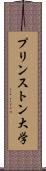 プリンストン大学 Scroll