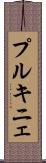 プルキニェ Scroll
