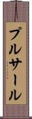 プルサール Scroll