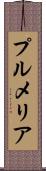 プルメリア Scroll