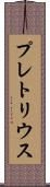 プレトリウス Scroll