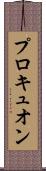 プロキュオン Scroll